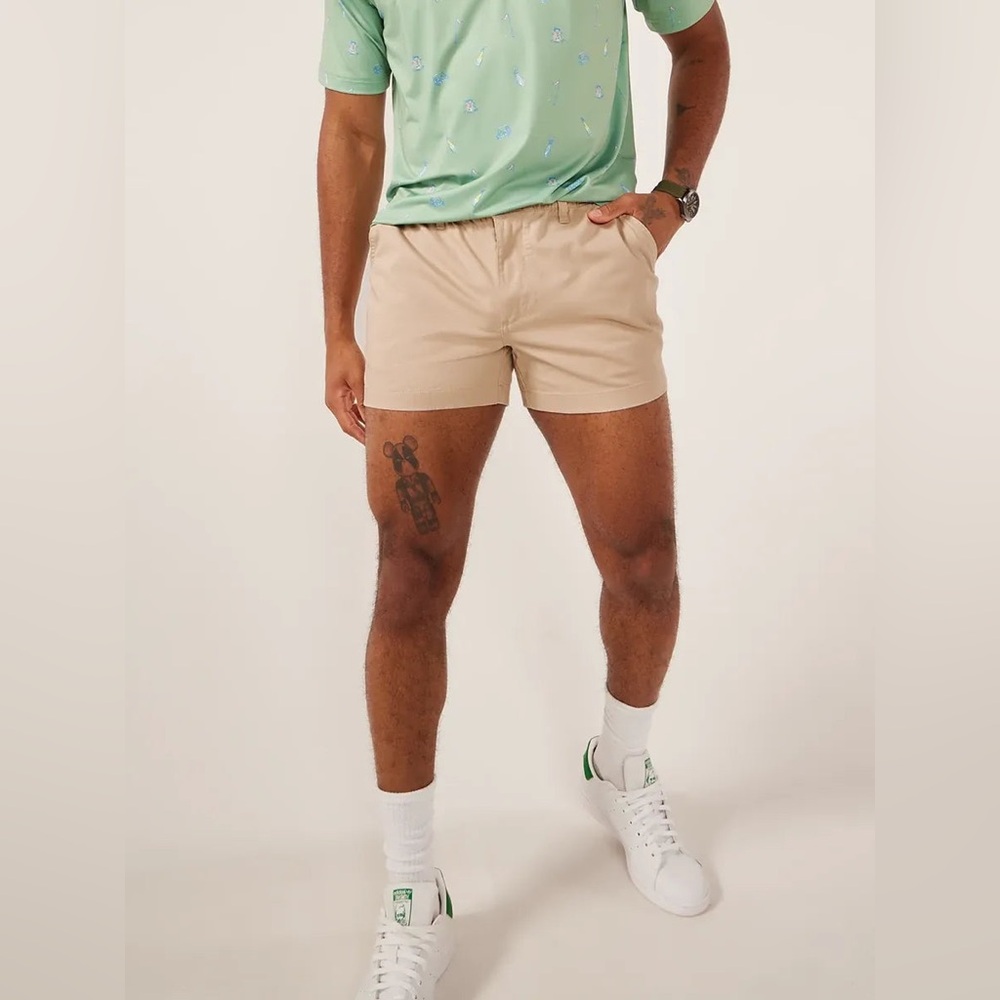 BRAND NEW Chubbies Khakinators in 5.5” inseam